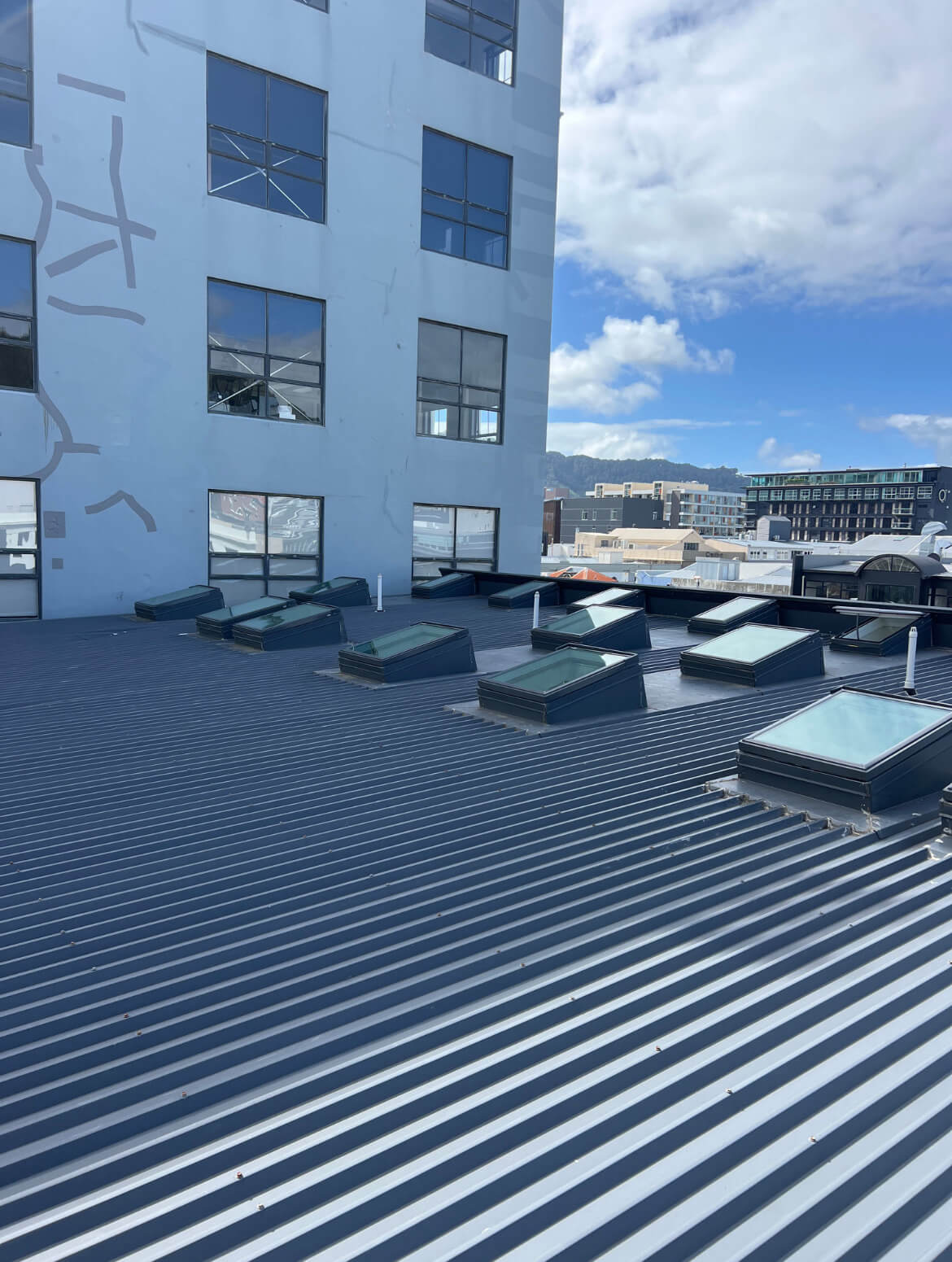 VELUX LightenUp - Skylight installation and repairs Wellington and Kapiti Coast